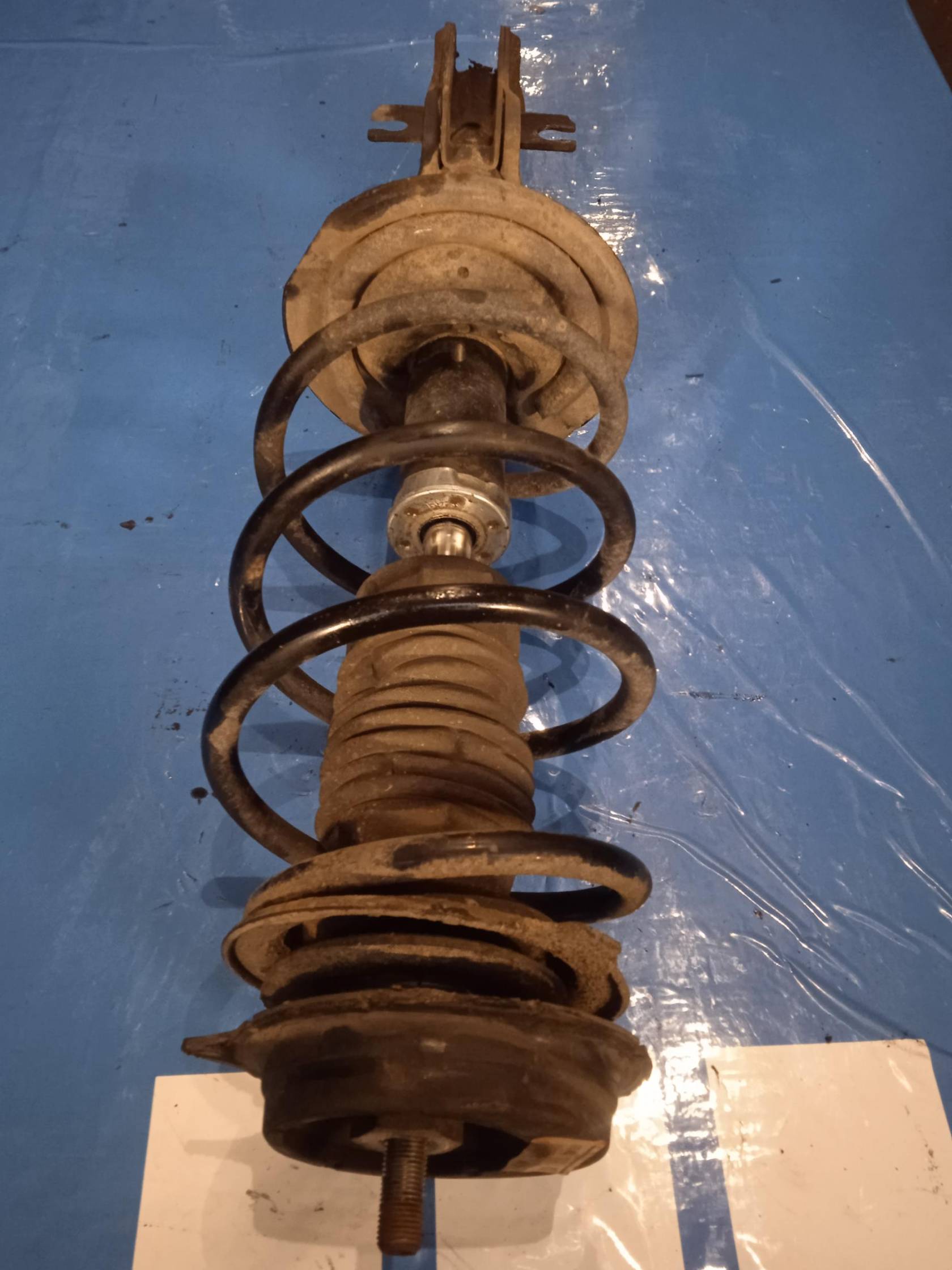 Ammortizzatore ant. sx.